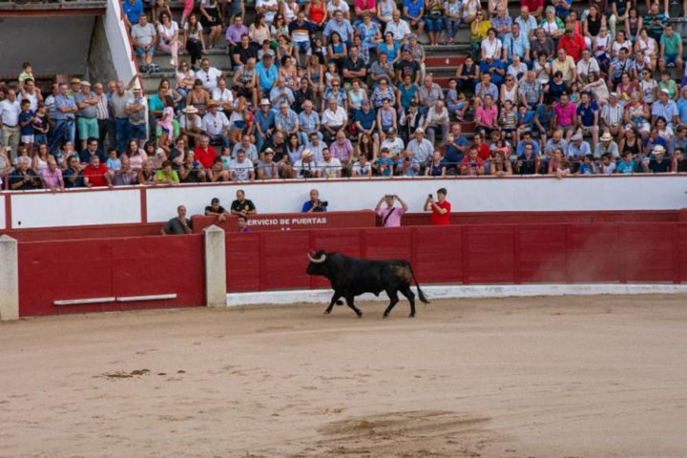 Toros en Colmenar Viejo 22-08-2019