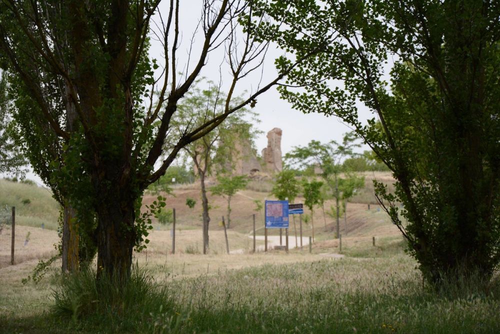 Parque polvoranca (Leganes) 10-06-2019
