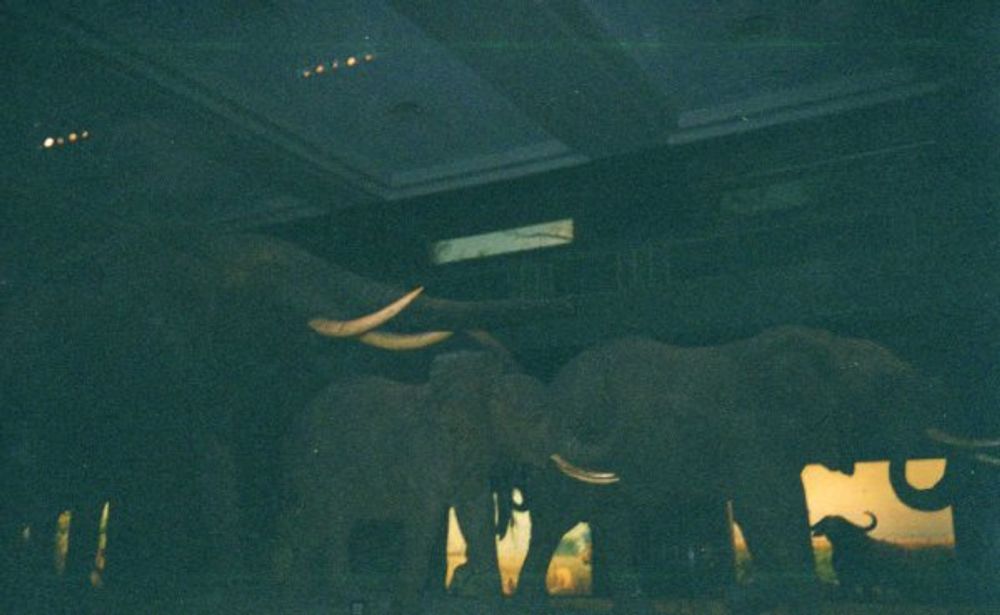 New York 2003
