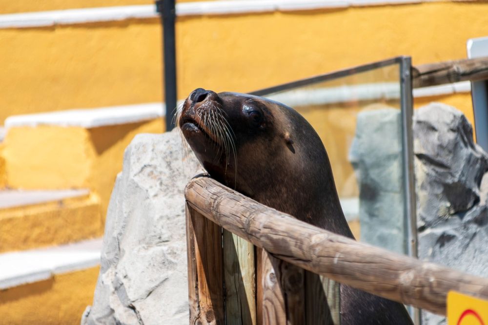 Zoo 17-08-2024