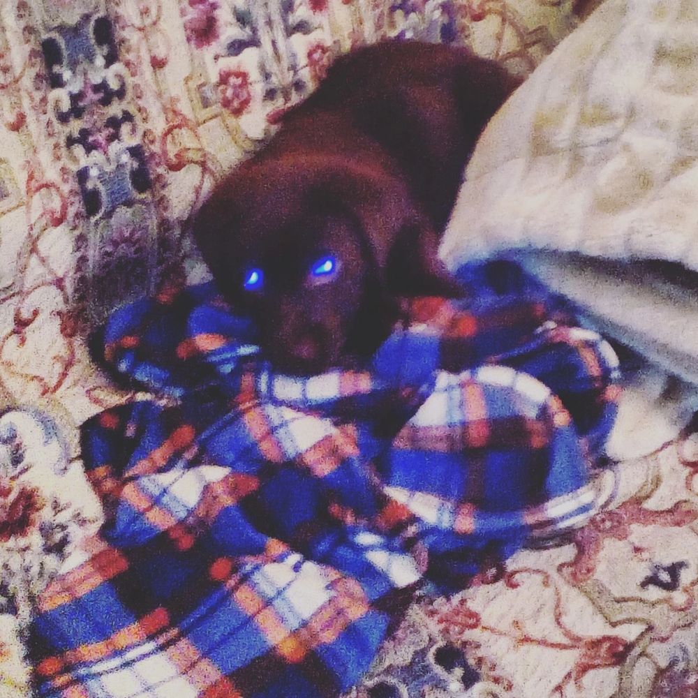 baby Conan