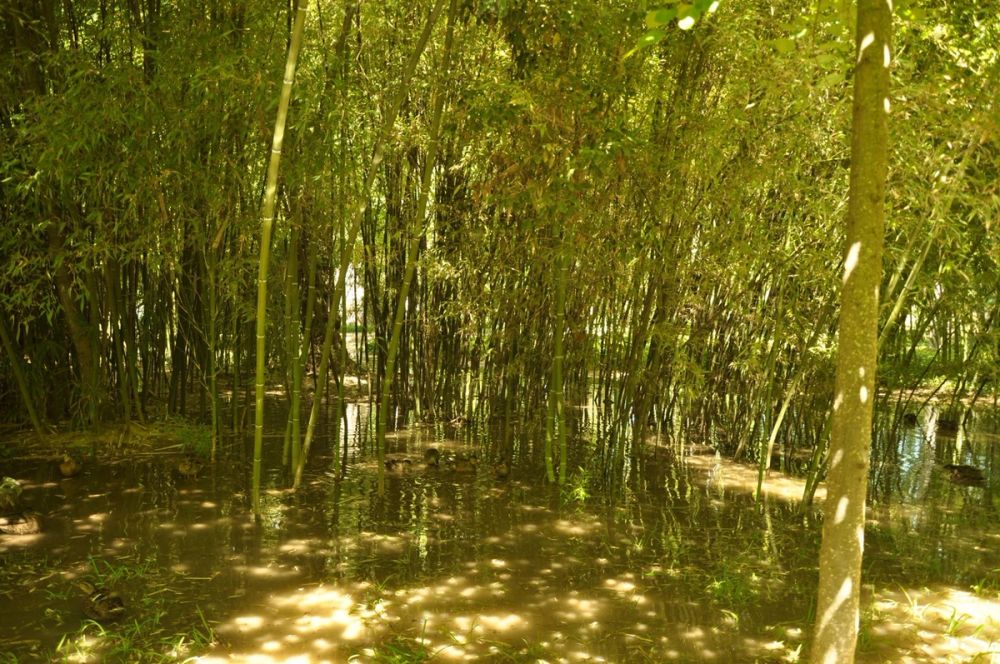 Aranjuez 2016