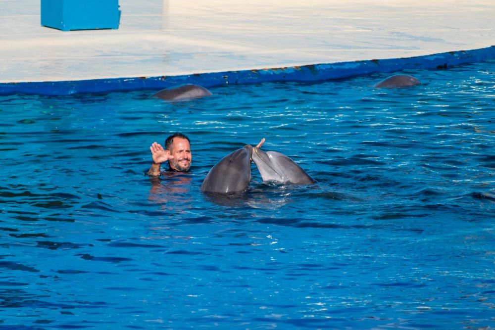 Zoo 17-08-2024