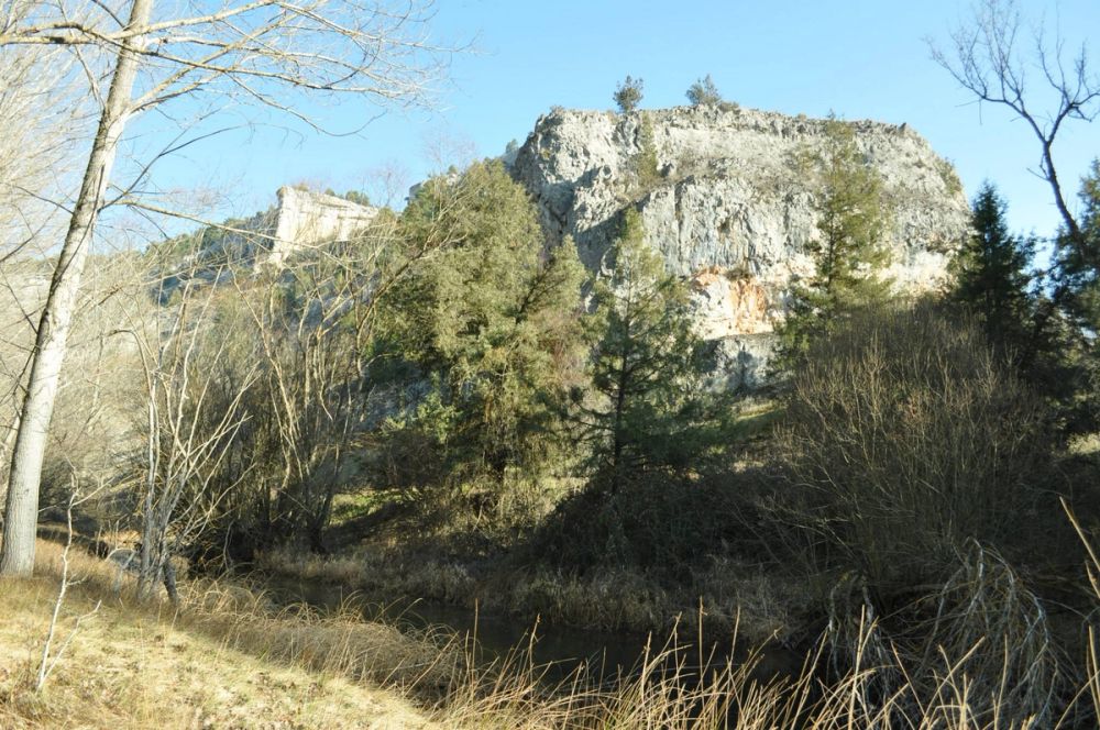 Rio lobos (Burgos/Soria) 2012