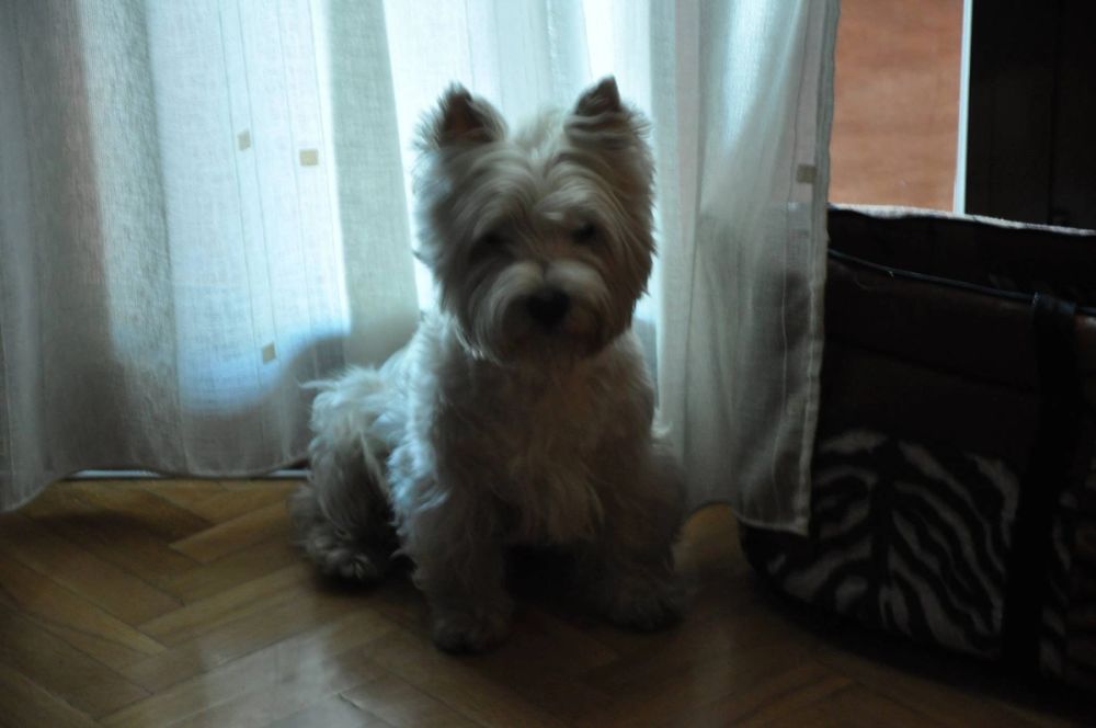 Luckky