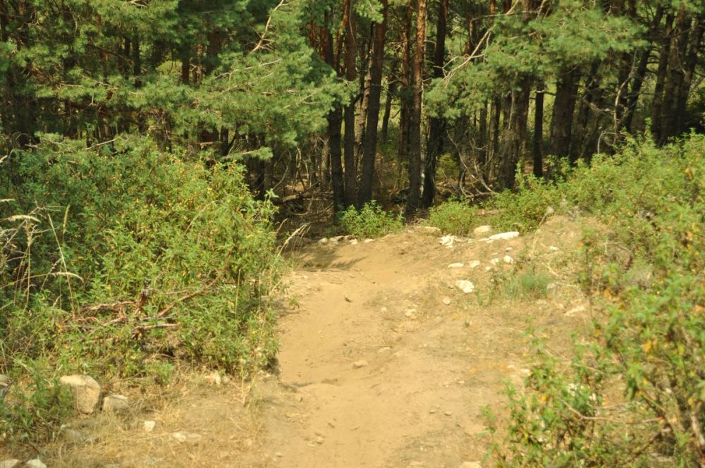 Berrecil de la sierra 10-07-2013