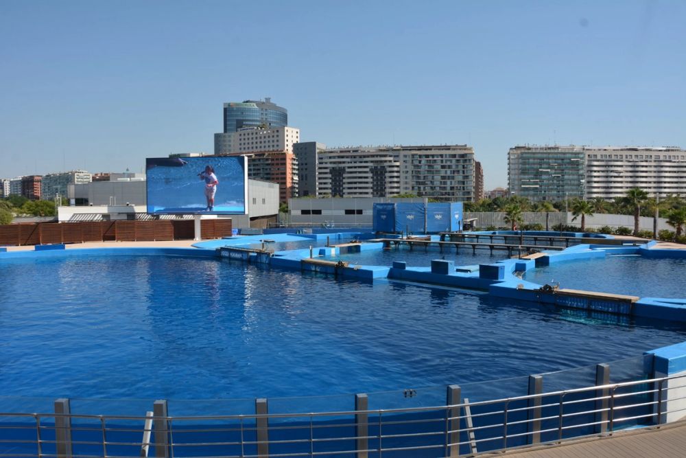 Oceanografic 2022