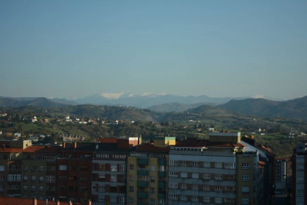 Oviedo 2019