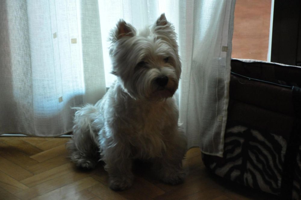 Luckky
