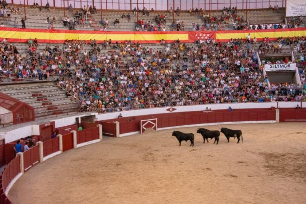 Toros en Colmenar Viejo 22-08-2019