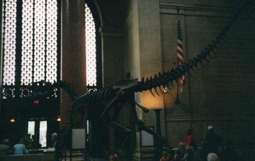 New York 2003