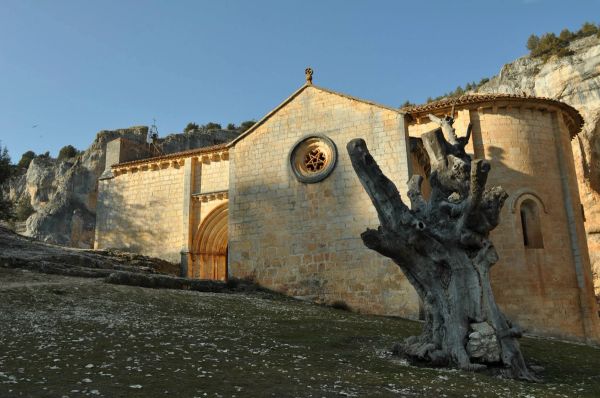 Rio lobos (Burgos/Soria) 2012