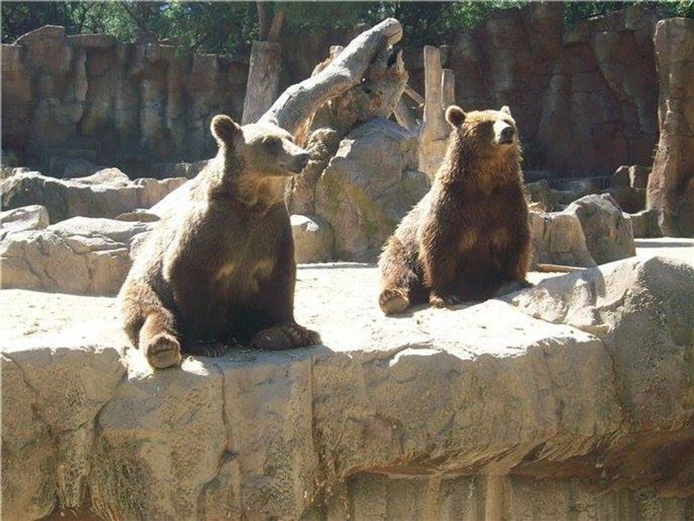 zoo 2010