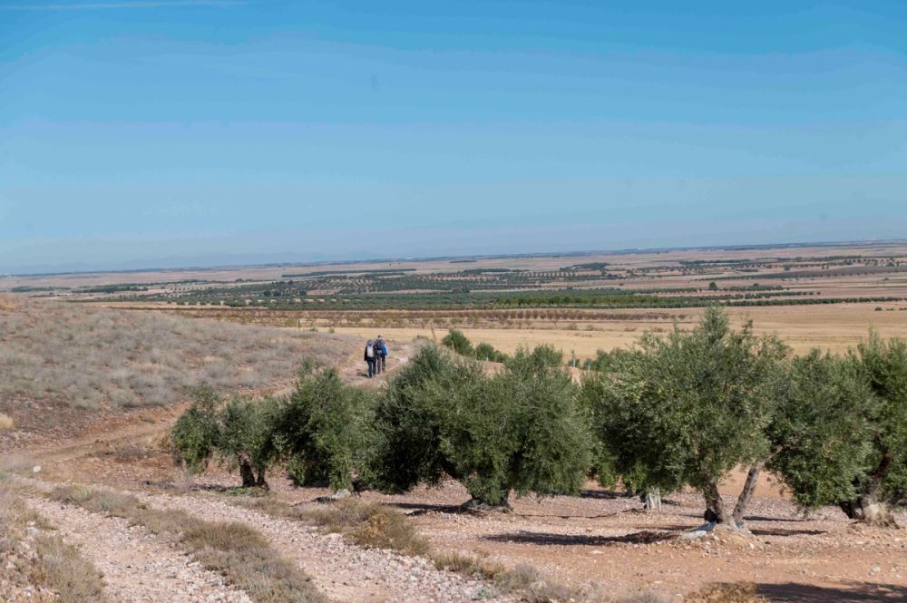 Ruta de senderismo por la sierra de Lillo 10-10-2026