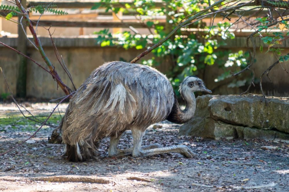Zoo 17-08-2024