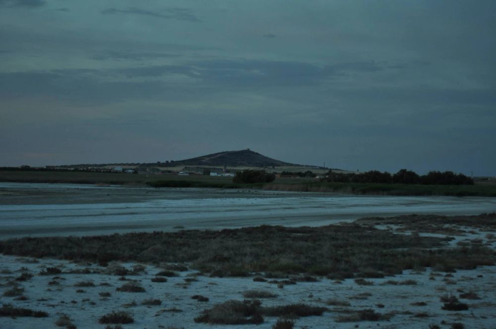 Lillo 03-06-2012
