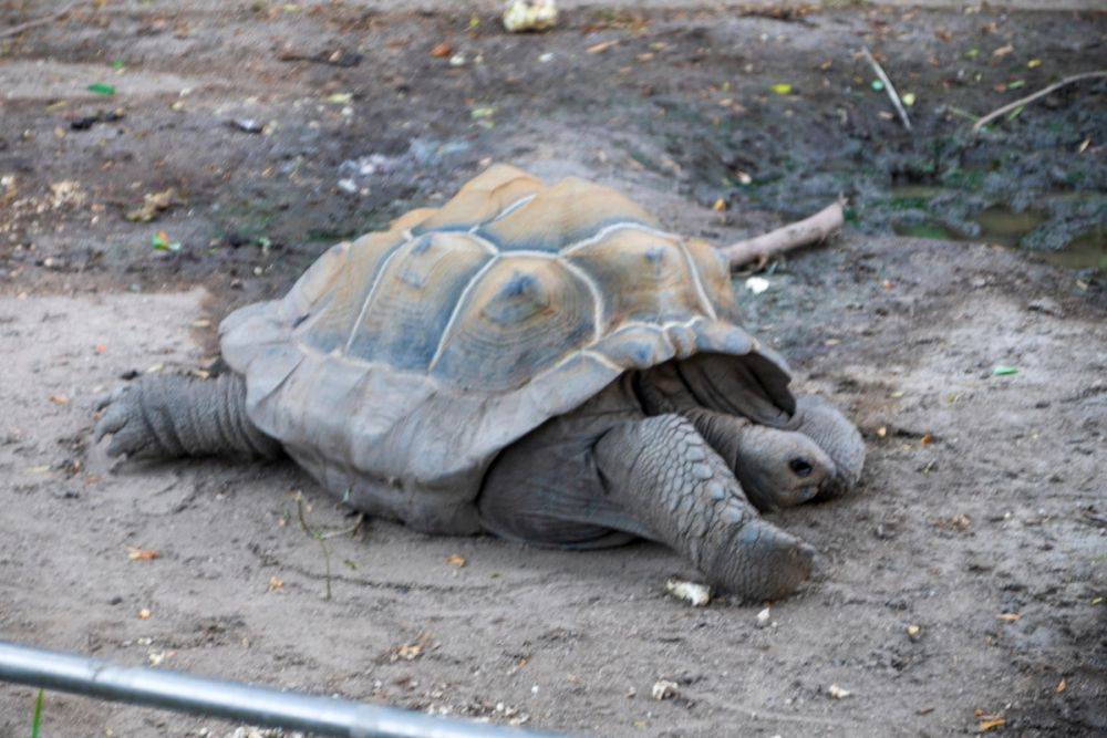 Zoo 17-08-2024