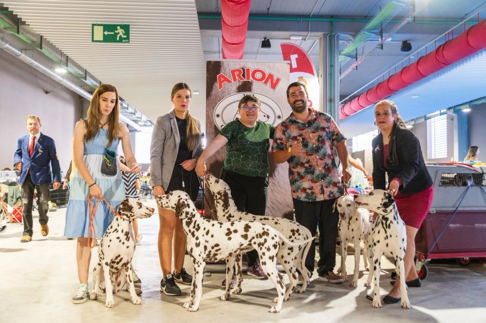 Exposicion canina (ciudad real) 02-06-2024