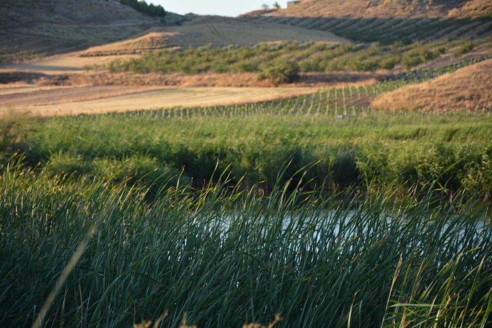 Lagunas de la guardia y Ermita del Santo Niño (La guardia) 2020