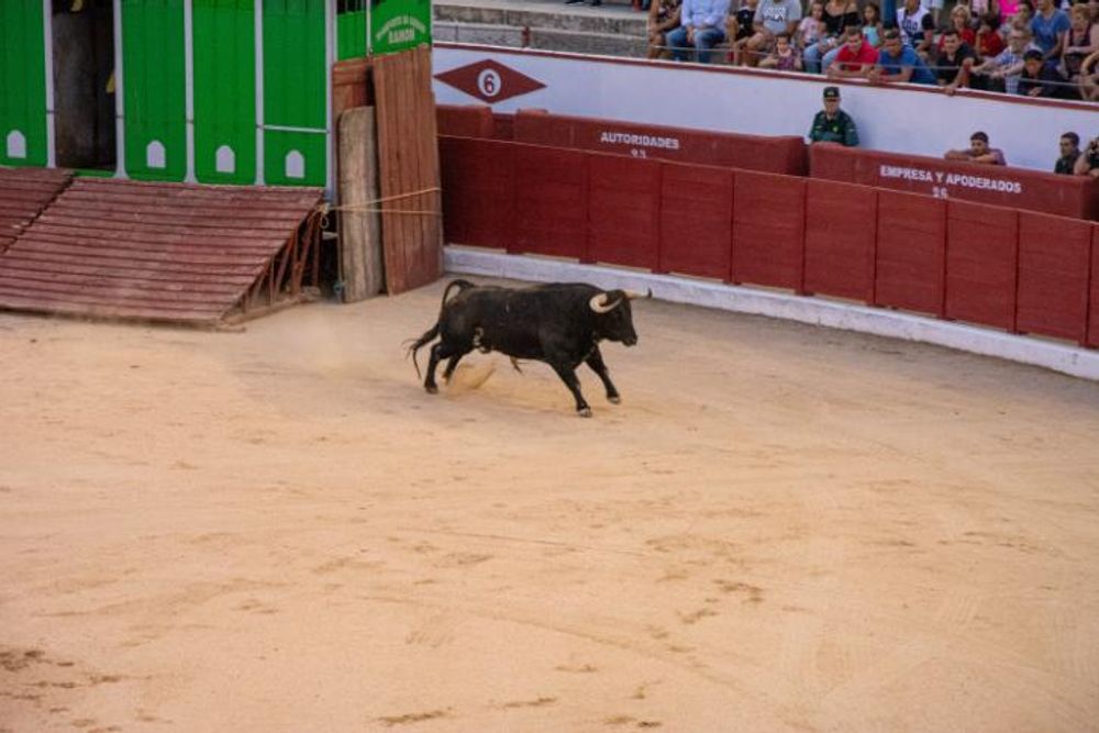 Toros en Colmenar Viejo 22-08-2019