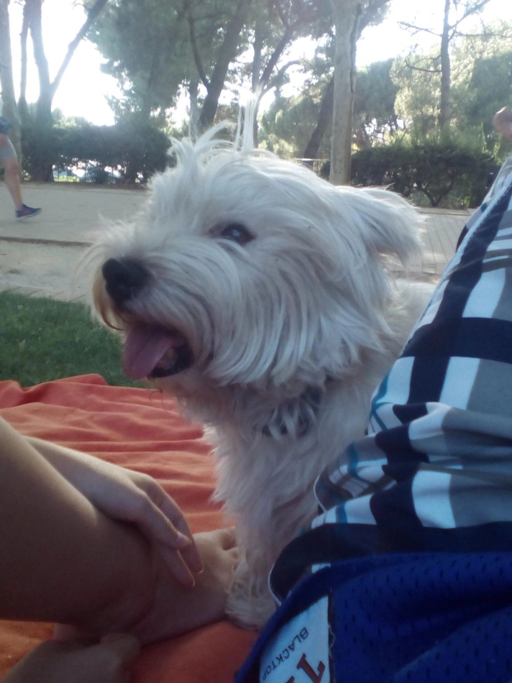 Luckky