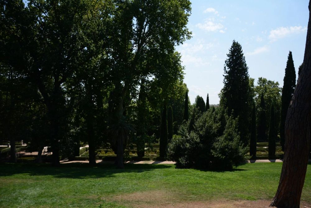 Parque de El capricho (Madrid) 2018