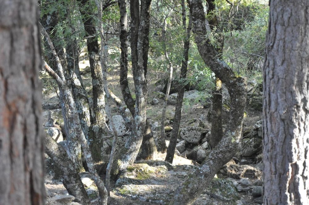 Cascadas del purgatorio 27-09-2015