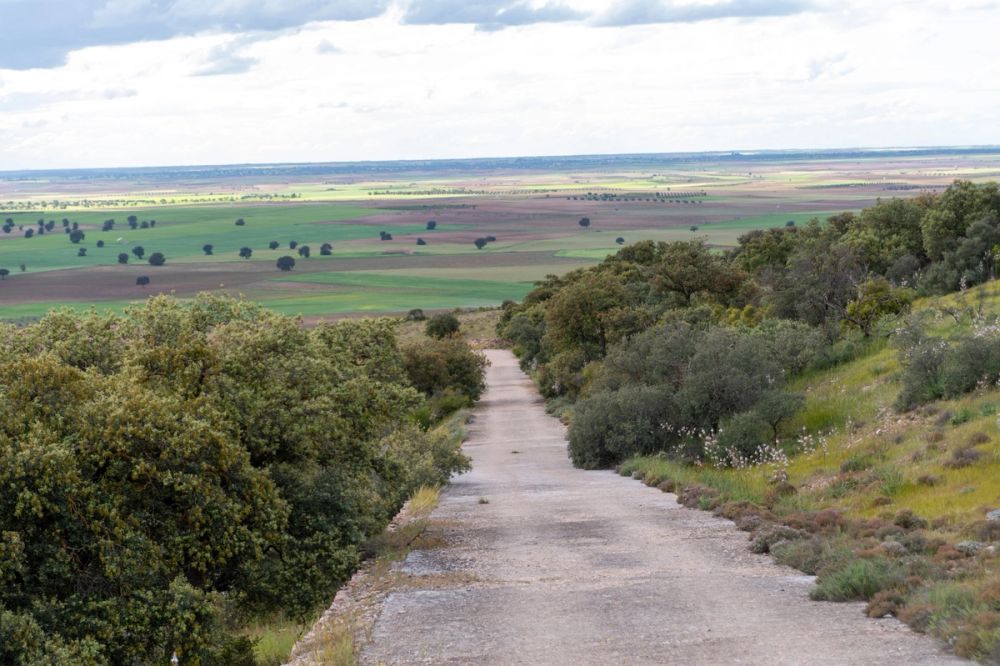 Sierra de Corral de Almaguer 03-05-2025