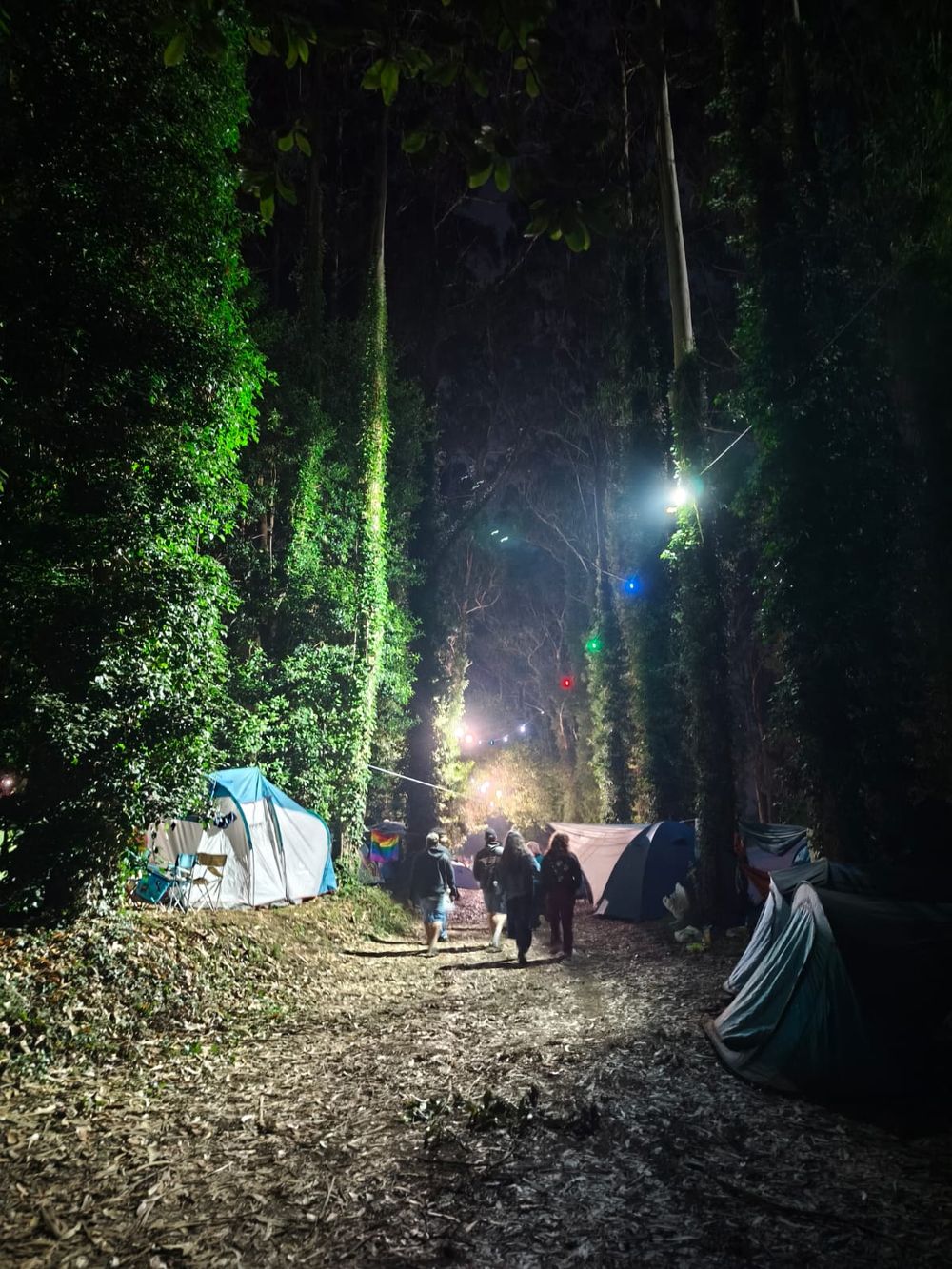 Festival de Ortigueira 2025