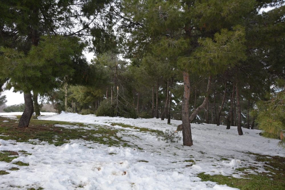 Leganes Nevado 2021 Dia 3