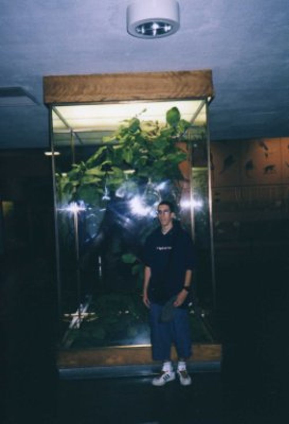 New York 2003