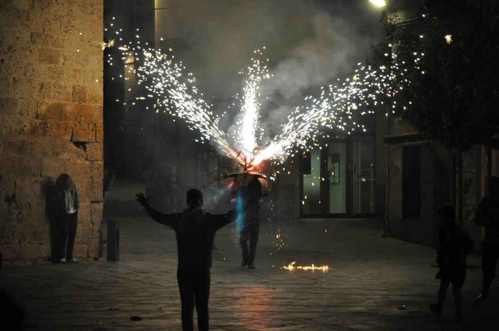 Roa del duero 2014