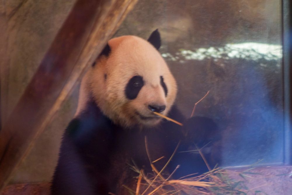 Zoo 17-08-2024