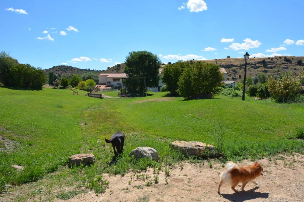Casa Rural El Moral (Cuenca) 2020