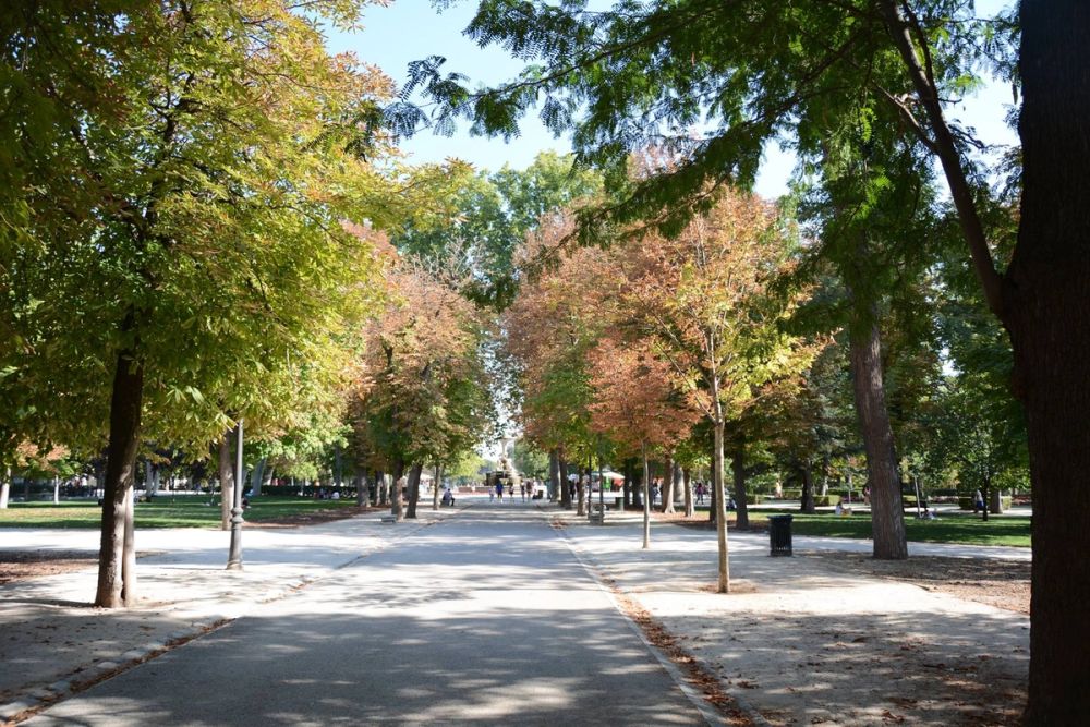 Parque del Retiro (Madrid) 18-08-2017