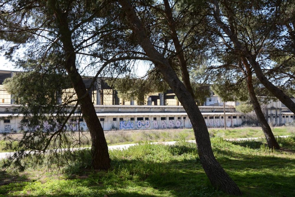 Parque del Pacadar (Rivas-vaciamadrid) 09-03-2017
