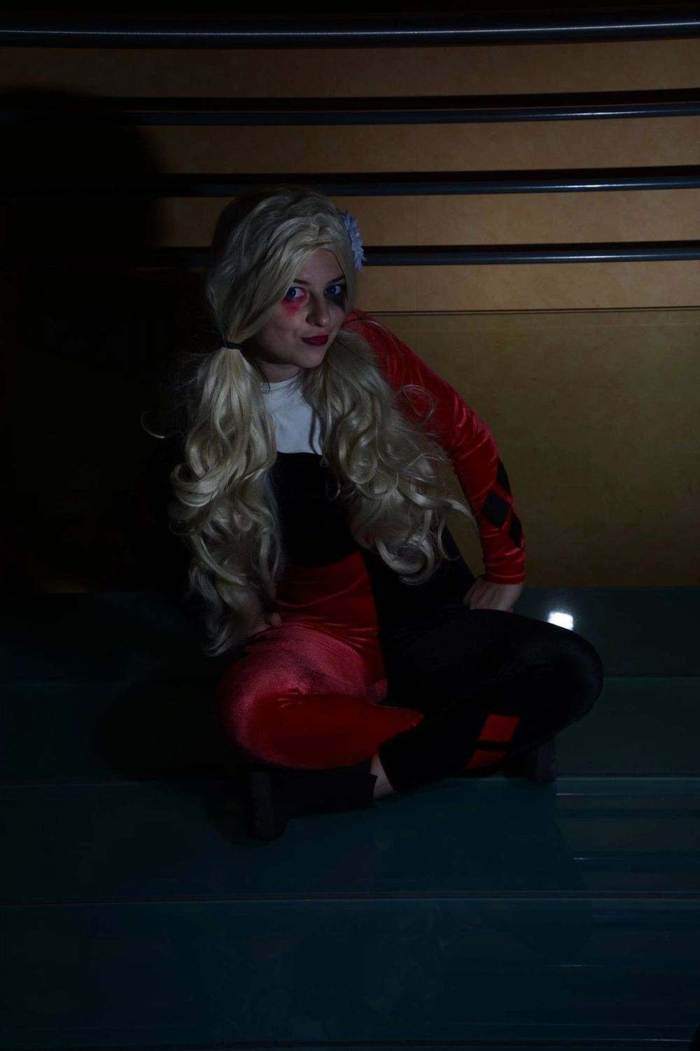 harley quinn 24-02-2019