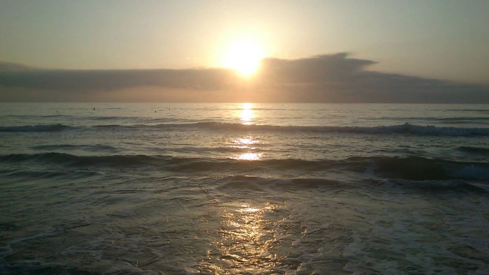 Gandia 2013