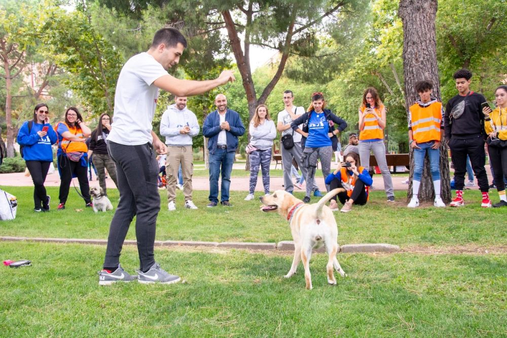 IV Ruta canina en Leganes 22-09-2019
