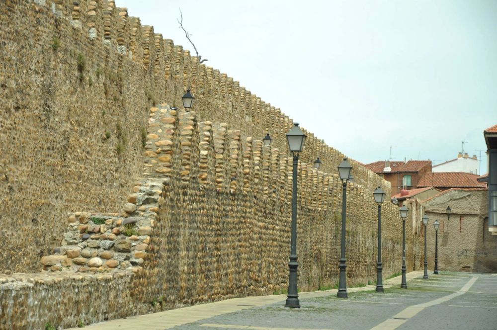 Leon 2014