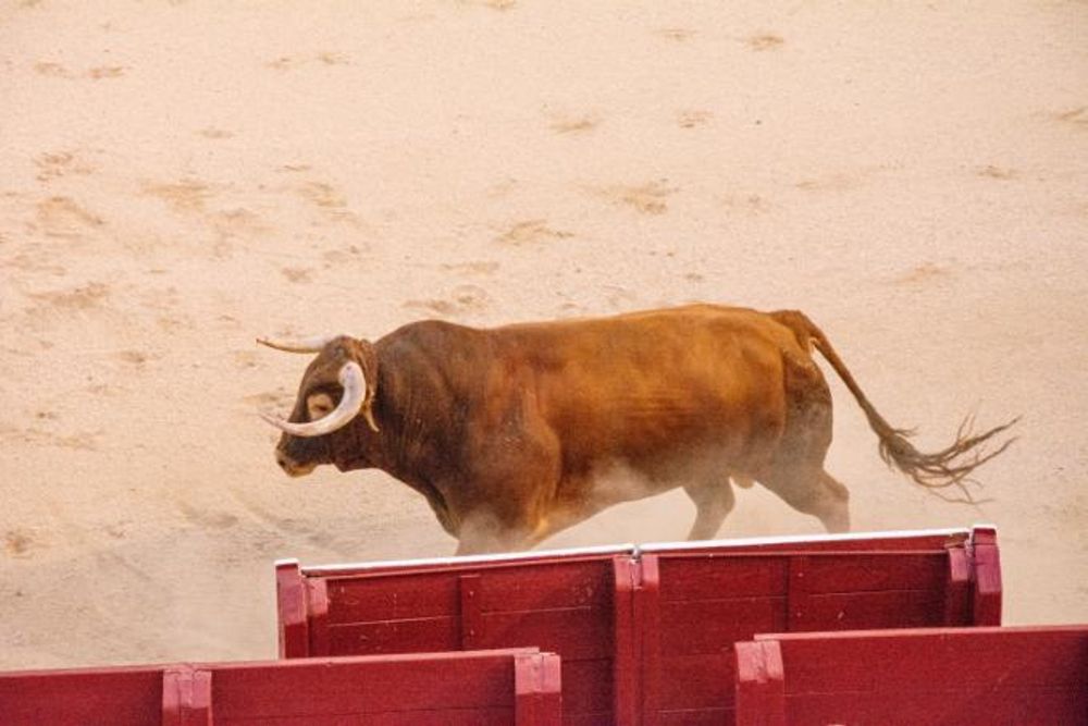 Toros en Colmenar Viejo 22-08-2019