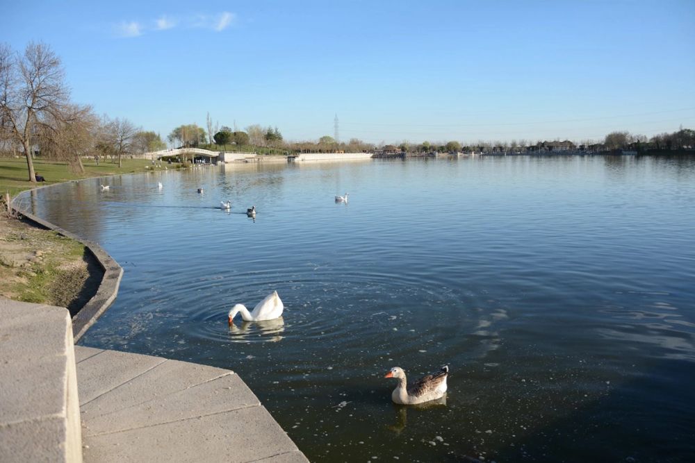 Parque Polvoranca (Leganes) 18-03-2017