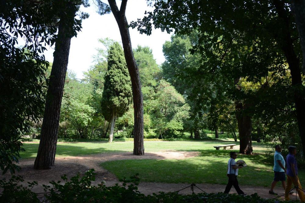 Parque de El capricho (Madrid) 2018