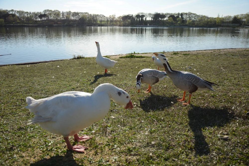 Parque Polvoranca (Leganes) 18-03-2017