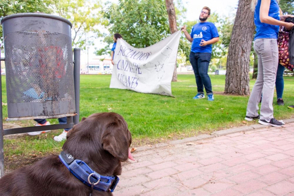 IV Ruta canina en Leganes 22-09-2019