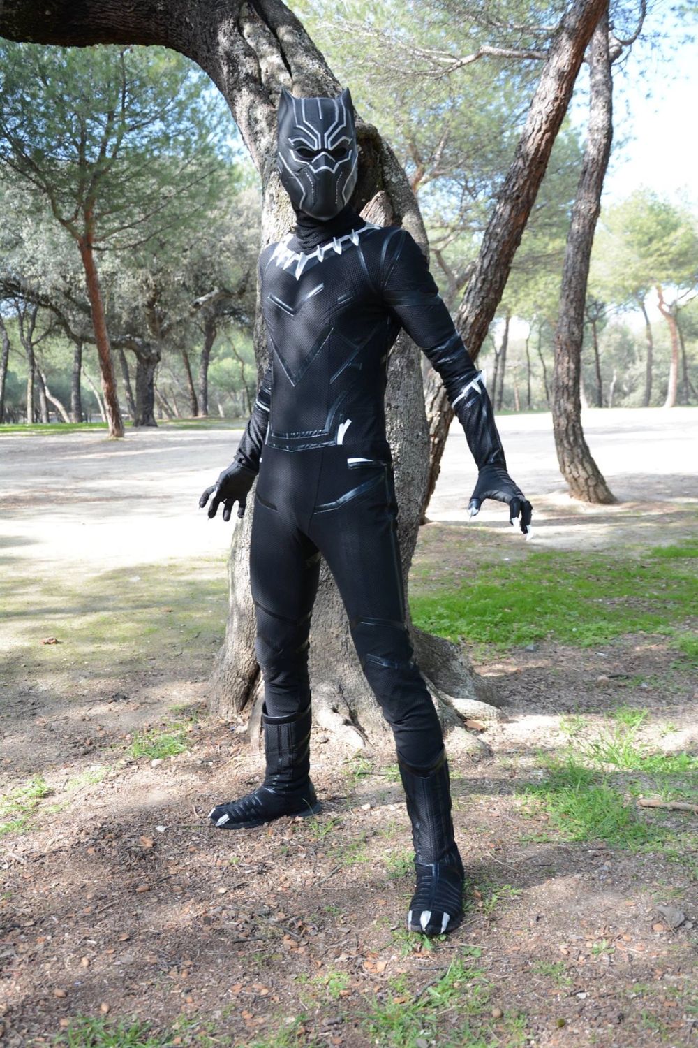 Black Phanter 17-02-2018