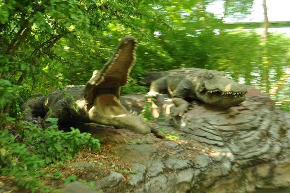 Parque de atracciones de madrid 2012