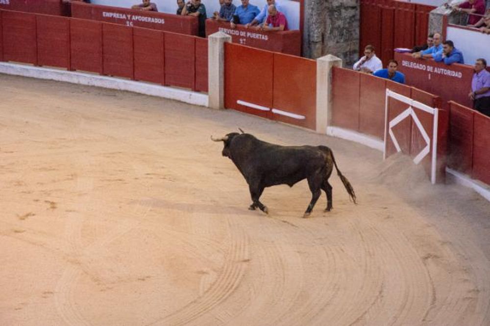 Toros en Colmenar Viejo 22-08-2019