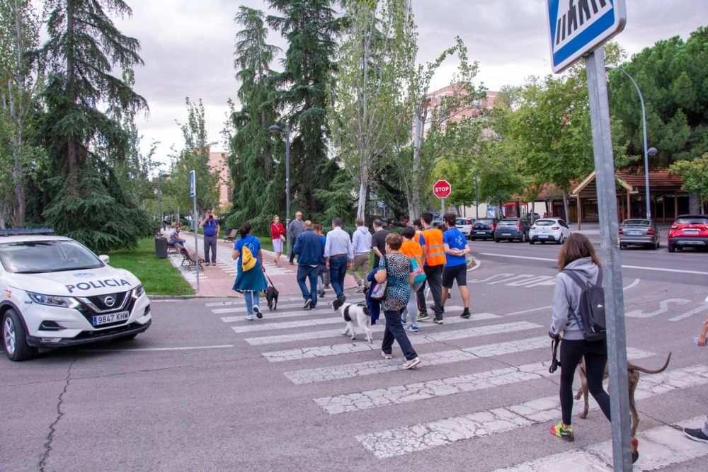 IV Ruta canina en Leganes 22-09-2019