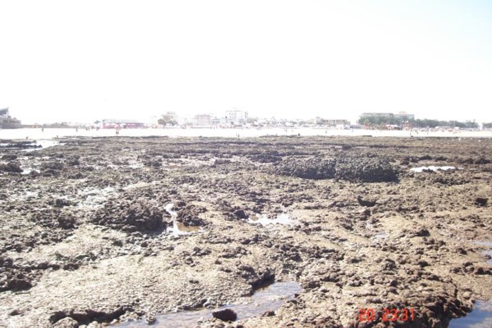 chipiona 2008